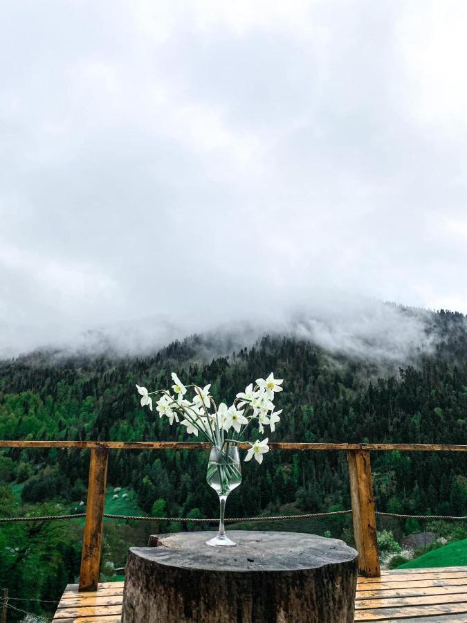 Mitarbi Silence - Cozy Holiday Cottages In Mountains Bordjomi Extérieur photo