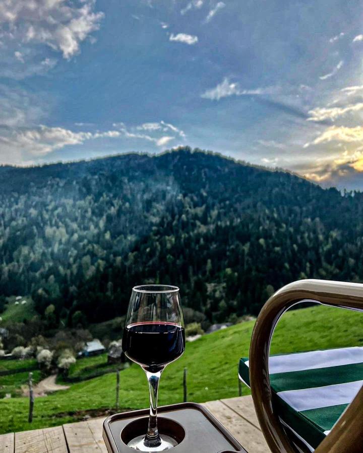 Mitarbi Silence - Cozy Holiday Cottages In Mountains Bordjomi Extérieur photo