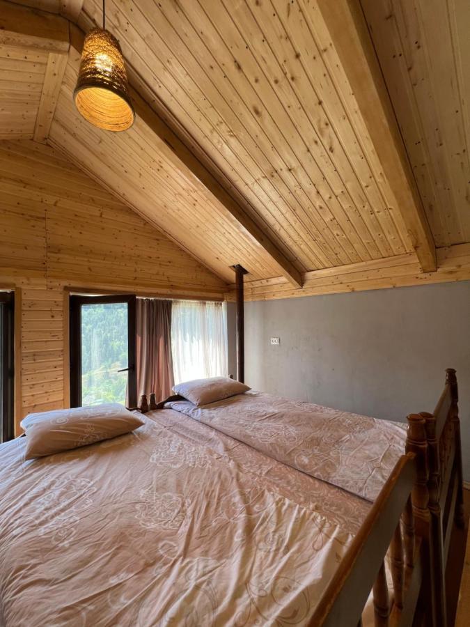 Mitarbi Silence - Cozy Holiday Cottages In Mountains Bordjomi Extérieur photo