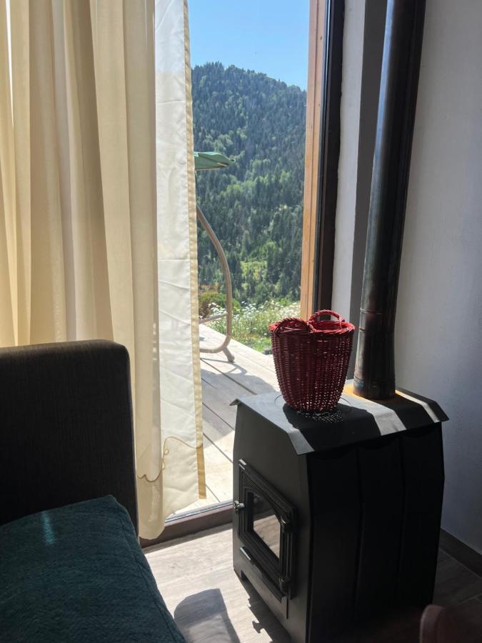 Mitarbi Silence - Cozy Holiday Cottages In Mountains Bordjomi Extérieur photo