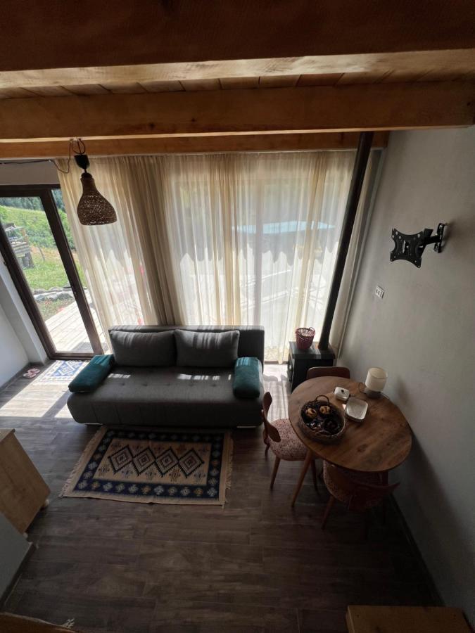 Mitarbi Silence - Cozy Holiday Cottages In Mountains Bordjomi Extérieur photo