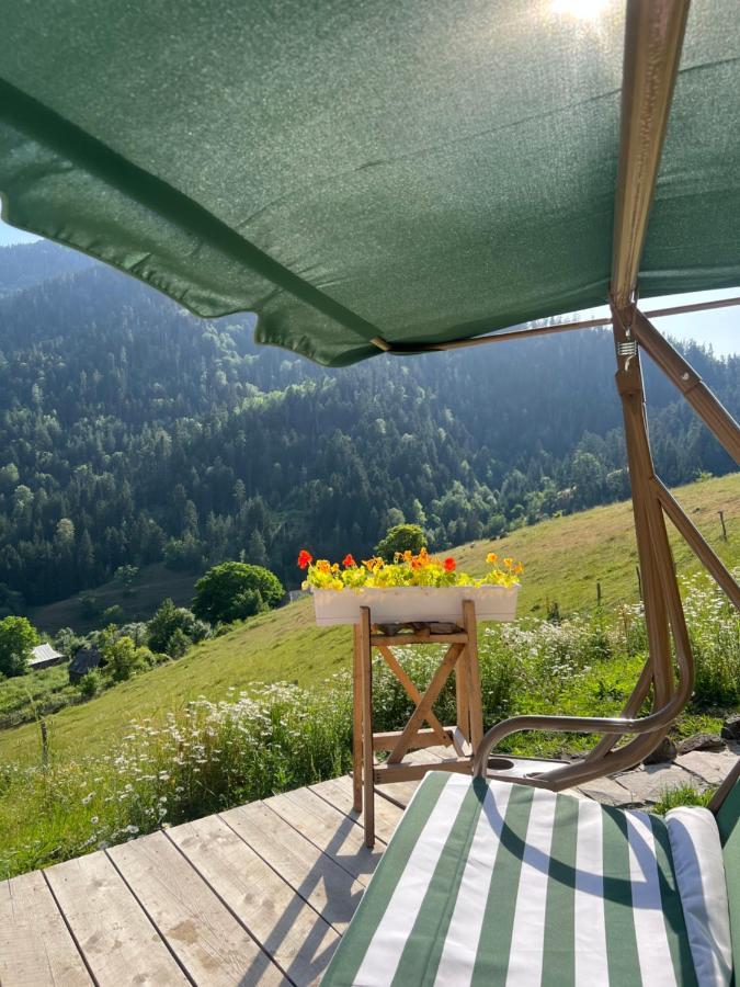 Mitarbi Silence - Cozy Holiday Cottages In Mountains Bordjomi Extérieur photo
