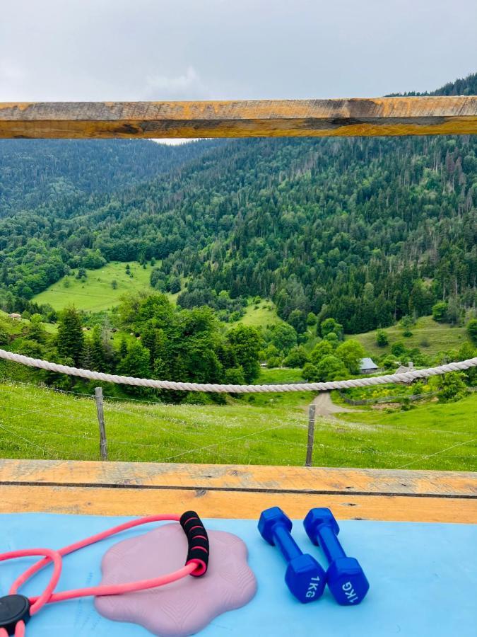 Mitarbi Silence - Cozy Holiday Cottages In Mountains Bordjomi Extérieur photo