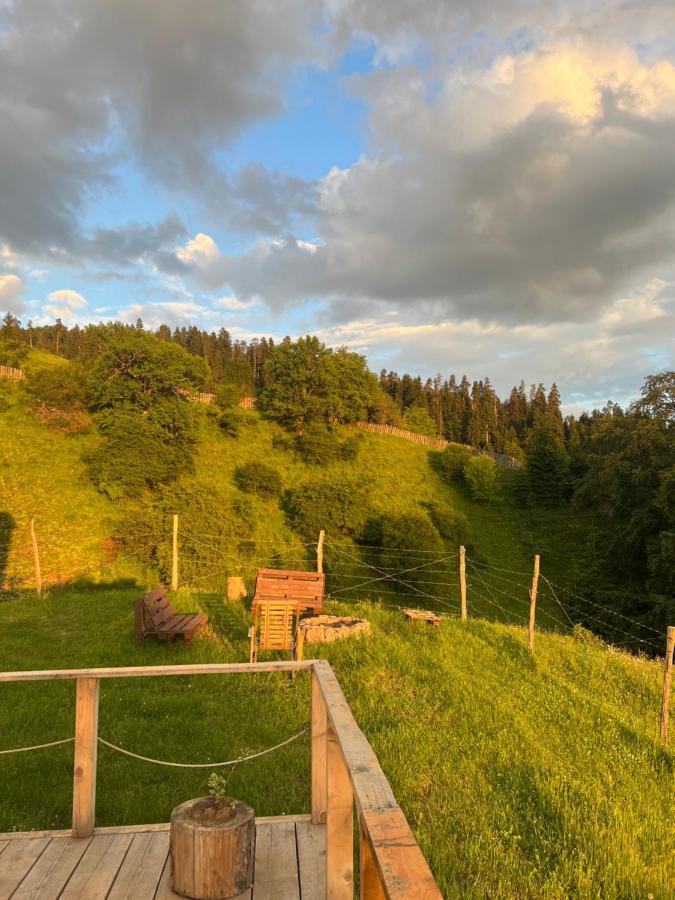 Mitarbi Silence - Cozy Holiday Cottages In Mountains Bordjomi Extérieur photo
